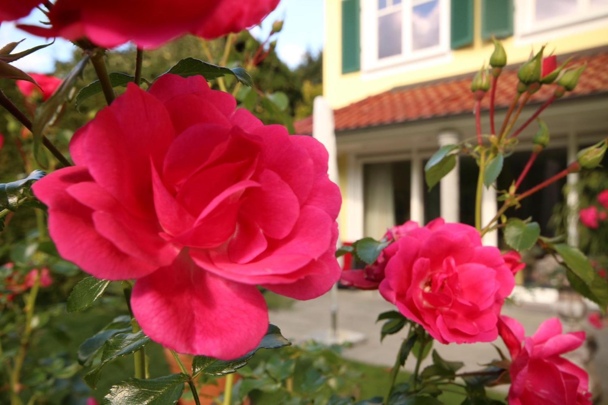 Baumanns Landhaus ดัวร์บาค ห้อง รูปภาพ