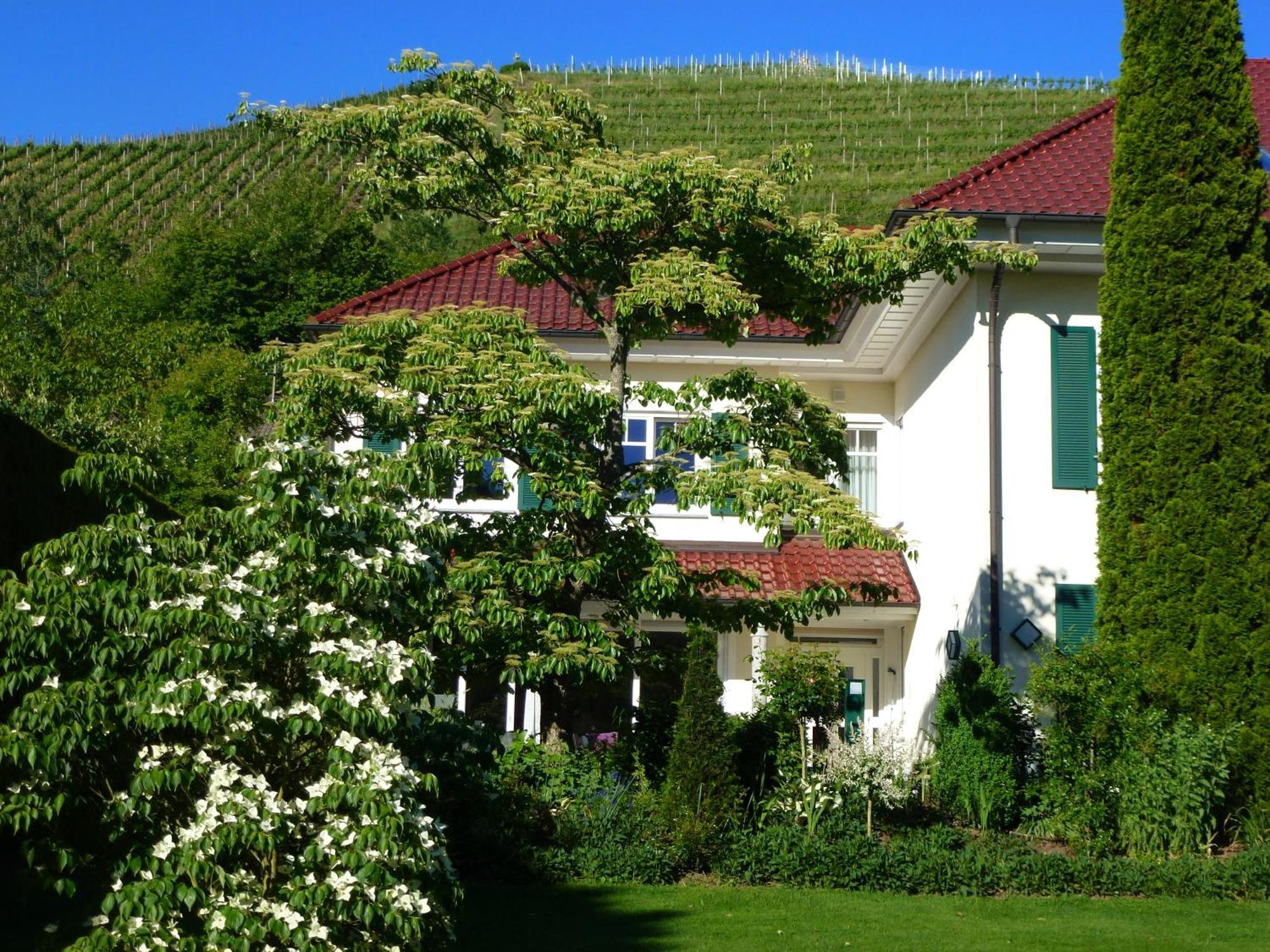 Baumanns Landhaus ดัวร์บาค ห้อง รูปภาพ