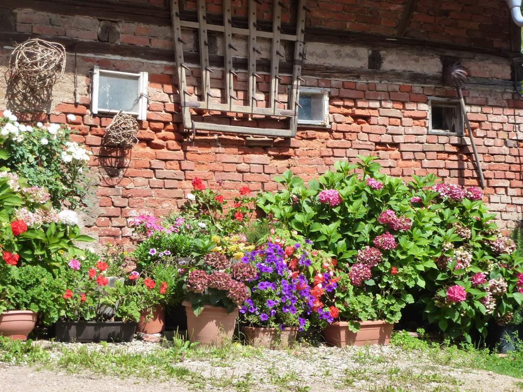 Baumanns Landhaus ดัวร์บาค ภายนอก รูปภาพ