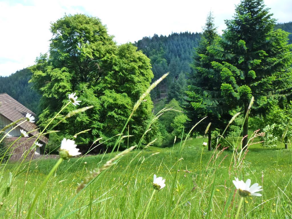 Baumanns Landhaus ดัวร์บาค ภายนอก รูปภาพ