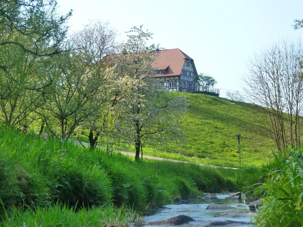 Baumanns Landhaus ดัวร์บาค ภายนอก รูปภาพ