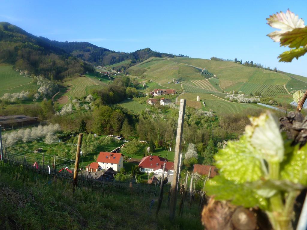 Baumanns Landhaus ดัวร์บาค ภายนอก รูปภาพ